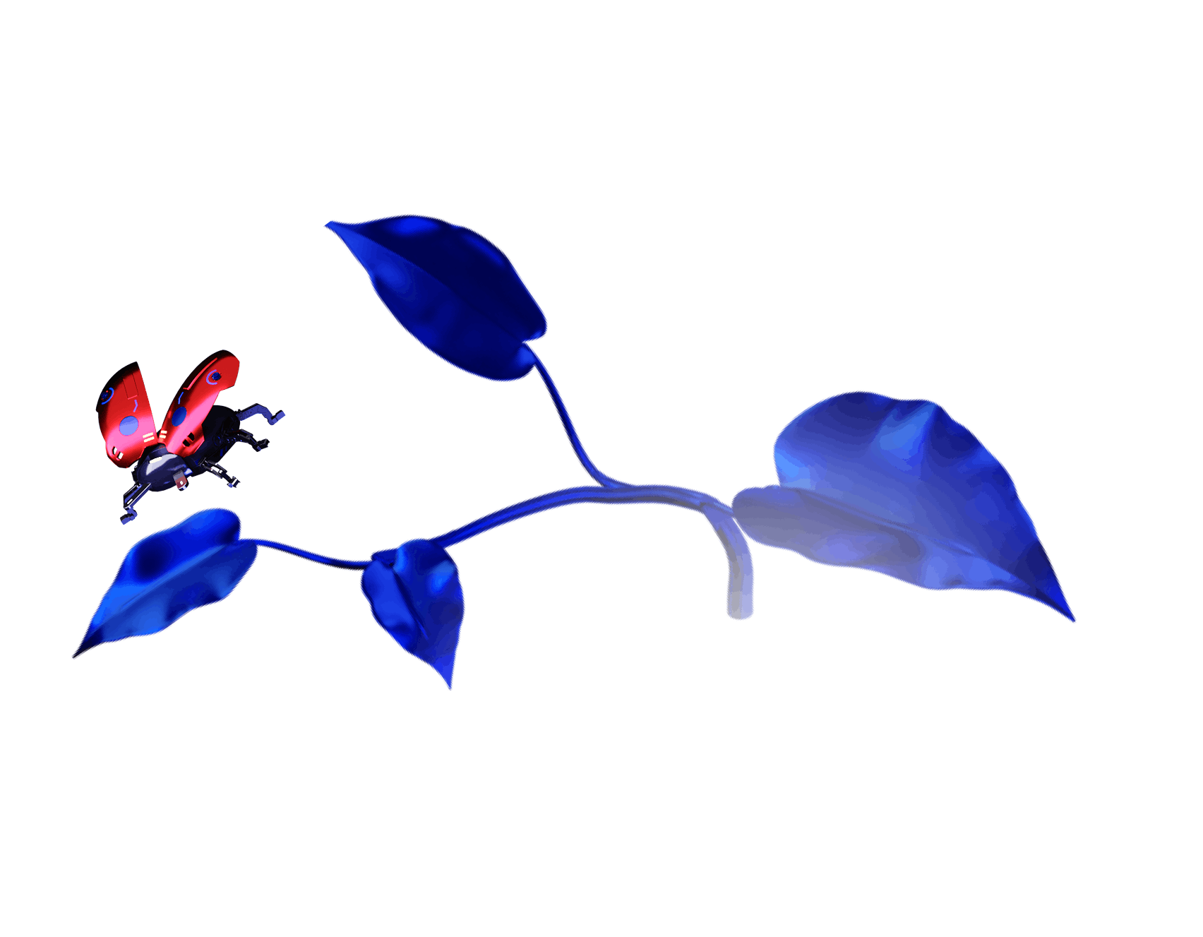 Visual about leaf