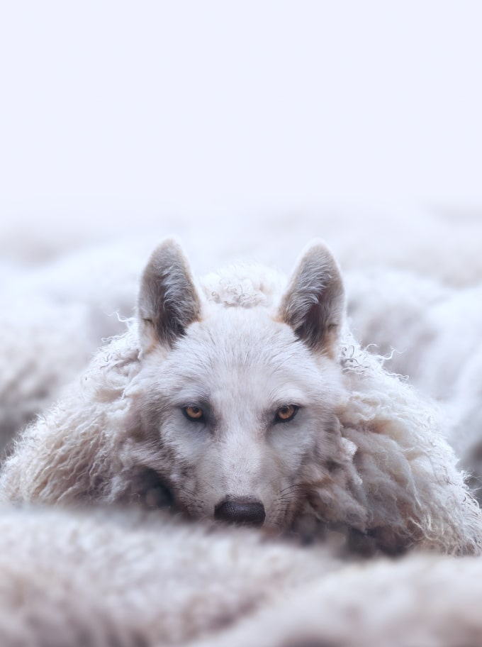 Деструктивные атаки, или&nbsp;Для&nbsp;чего группа Key&nbsp;Wolf распространяет шифровальщиков