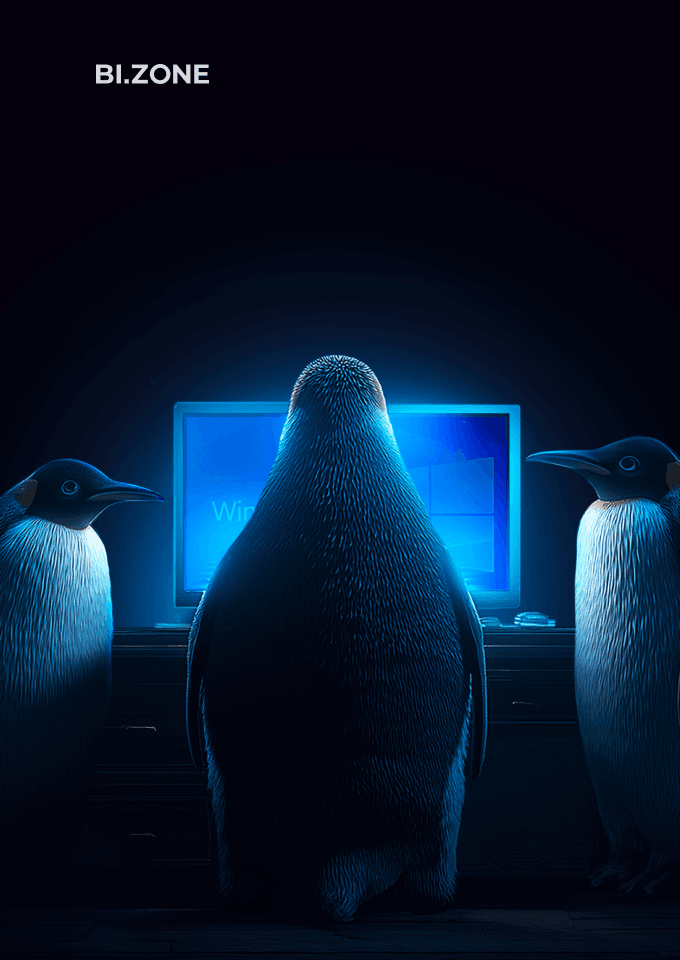 Image article