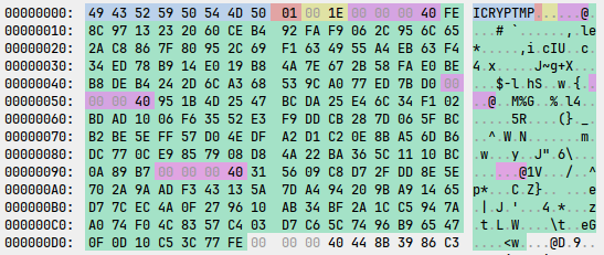 Encrypted chunk structure